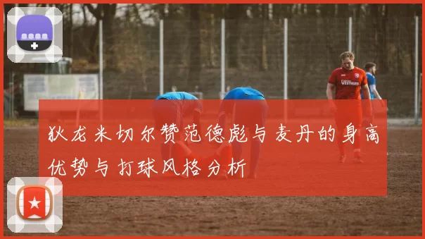狄龙米切尔赞范德彪与麦丹的身高优势与打球风格分析